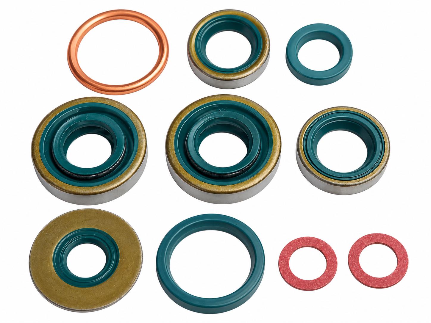 Sachs sealing rings, gasket set Sachs 50/2
